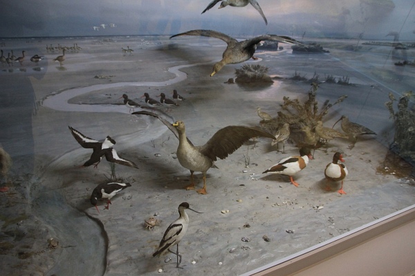 Museen2011   086.jpg